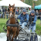 Kladruby 2019 - sobota - maraton