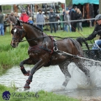 Kladruby 2019 - sobota - maraton