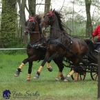 Kladruby 2019 - sobota - maraton