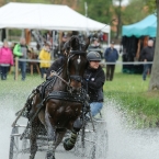 Kladruby 2019 - sobota - maraton