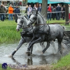 Kladruby 2019 - sobota - maraton