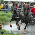 Kladruby 2019 - sobota - maraton