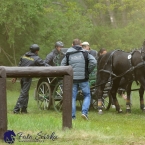 Kladruby 2019 - sobota - maraton