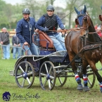 Kladruby 2019 - sobota - maraton