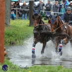 Kladruby 2019 - sobota - maraton