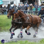 Kladruby 2019 - sobota - maraton