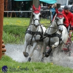 Kladruby 2019 - sobota - maraton