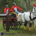 Kladruby 2019 - sobota - maraton