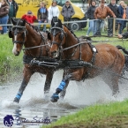 Kladruby 2019 - sobota - maraton