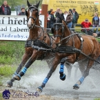 Kladruby 2019 - sobota - maraton