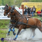 Kladruby 2019 - sobota - maraton