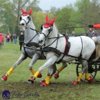 Kladruby 2019 - sobota - maraton