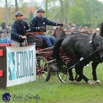 Kladruby 2019 - sobota - maraton