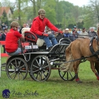 Kladruby 2019 - sobota - maraton