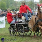 Kladruby 2019 - sobota - maraton