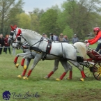 Kladruby 2019 - sobota - maraton