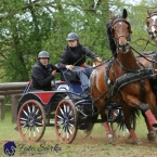 Kladruby 2019 - sobota - maraton