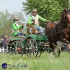 Kladruby 2019 - sobota - maraton