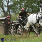 Kladruby 2019 - sobota - maraton