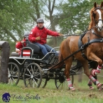 Kladruby 2019 - sobota - maraton