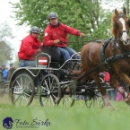 Kladruby 2019 - sobota - maraton