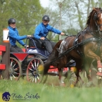 Kladruby 2019 - sobota - maraton