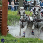 Kladruby 2019 - sobota - maraton