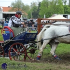 Kladruby 2019 - sobota - maraton