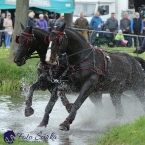 Kladruby 2019 - sobota - maraton