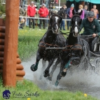 Kladruby 2019 - sobota - maraton