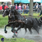 Kladruby 2019 - sobota - maraton