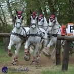 Kladruby 2019 - sobota - maraton