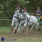 Kladruby 2019 - sobota - maraton