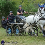 Kladruby 2019 - sobota - maraton