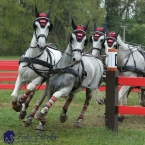 Kladruby 2019 - sobota - maraton