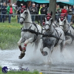 Kladruby 2019 - sobota - maraton