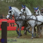 Kladruby 2019 - sobota - maraton