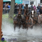 Kladruby 2019 - sobota - maraton