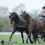 Kladruby 2019 - středa