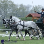 Kladruby 2019 - středa