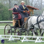 Kladruby 2019 - středa