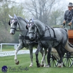 Kladruby 2019 - středa