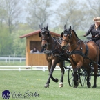 Kladruby 2019 - středa