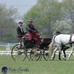 Kladruby 2019 - středa