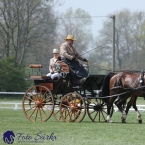 Kladruby 2019 - středa