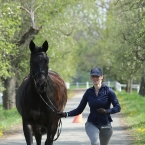 Kladruby 2019 - středa