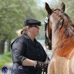 Kladruby 2019 - středa