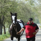 Kladruby 2019 - středa