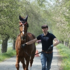 Kladruby 2019 - středa