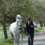 Kladruby 2019 - středa